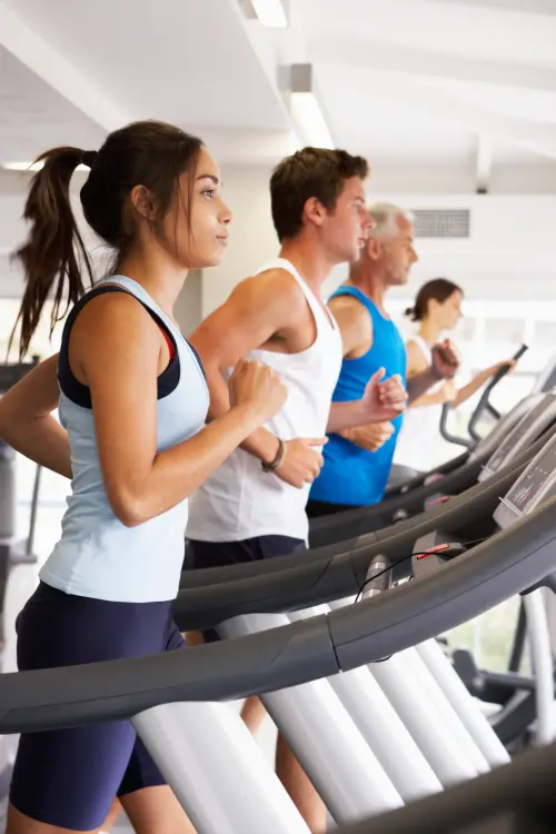 Actividades y cursos PIO